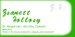 zsanett hollosy business card