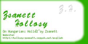 zsanett hollosy business card